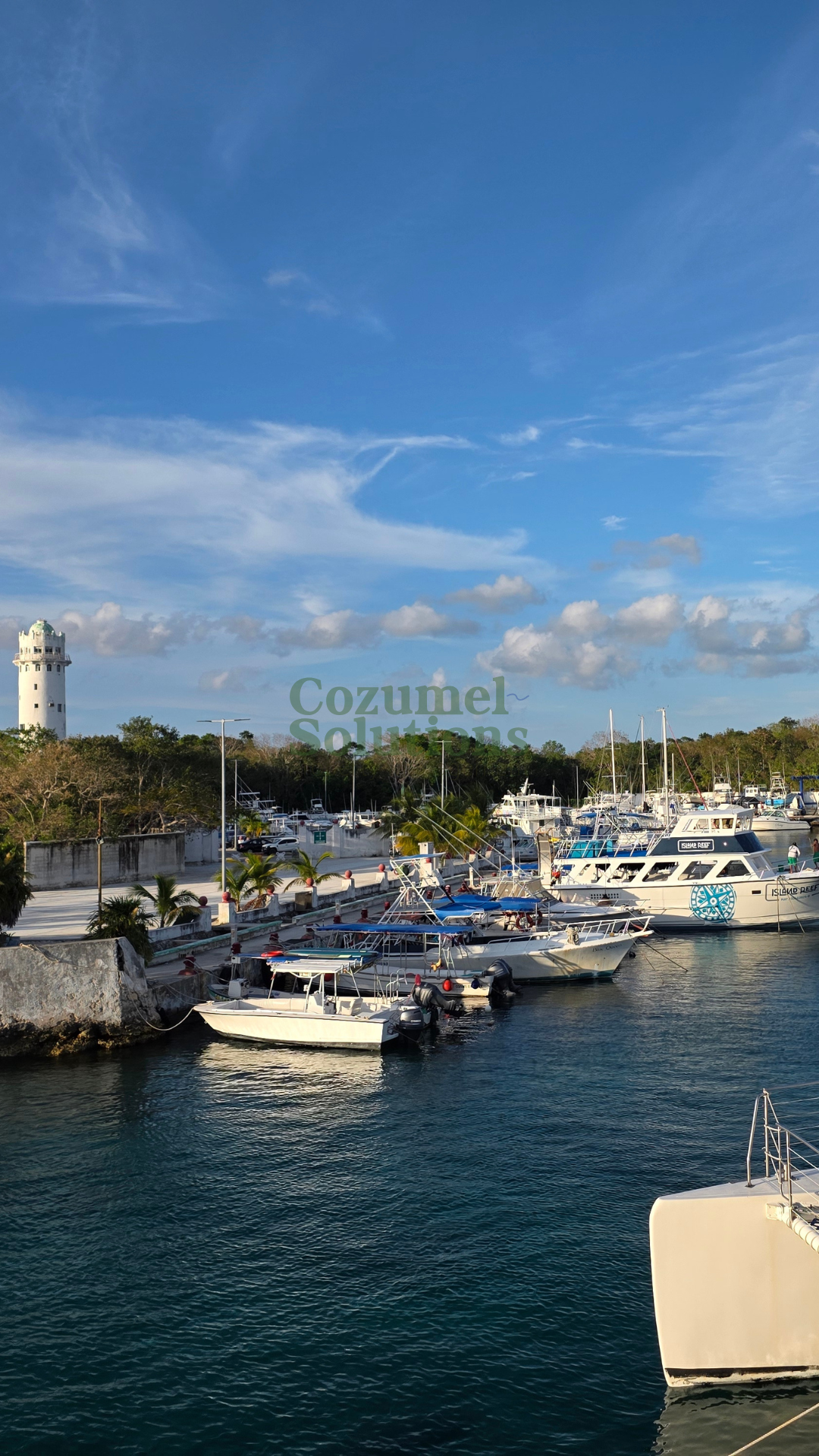 Why is Cozumel Expensive? — vista 11