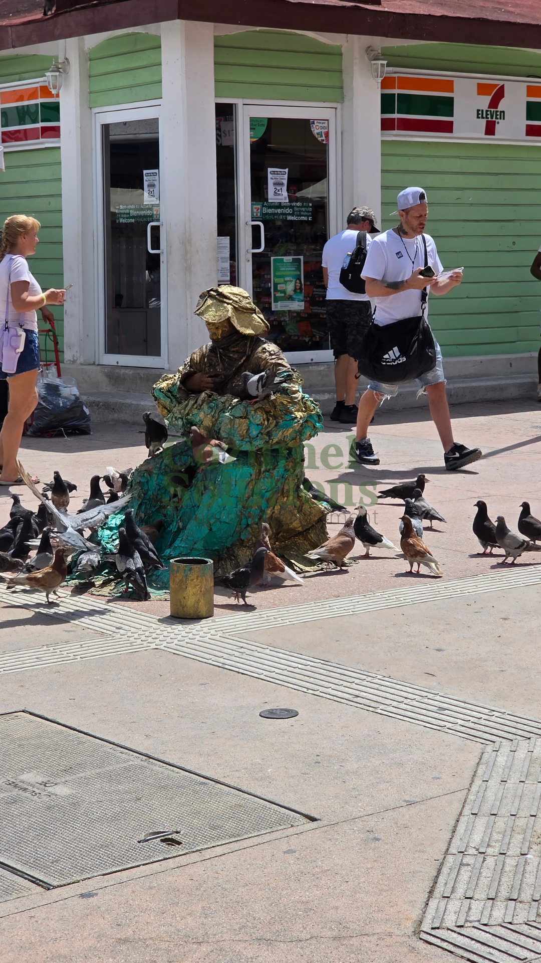 What Is It Like to Live in Cozumel — vista 8