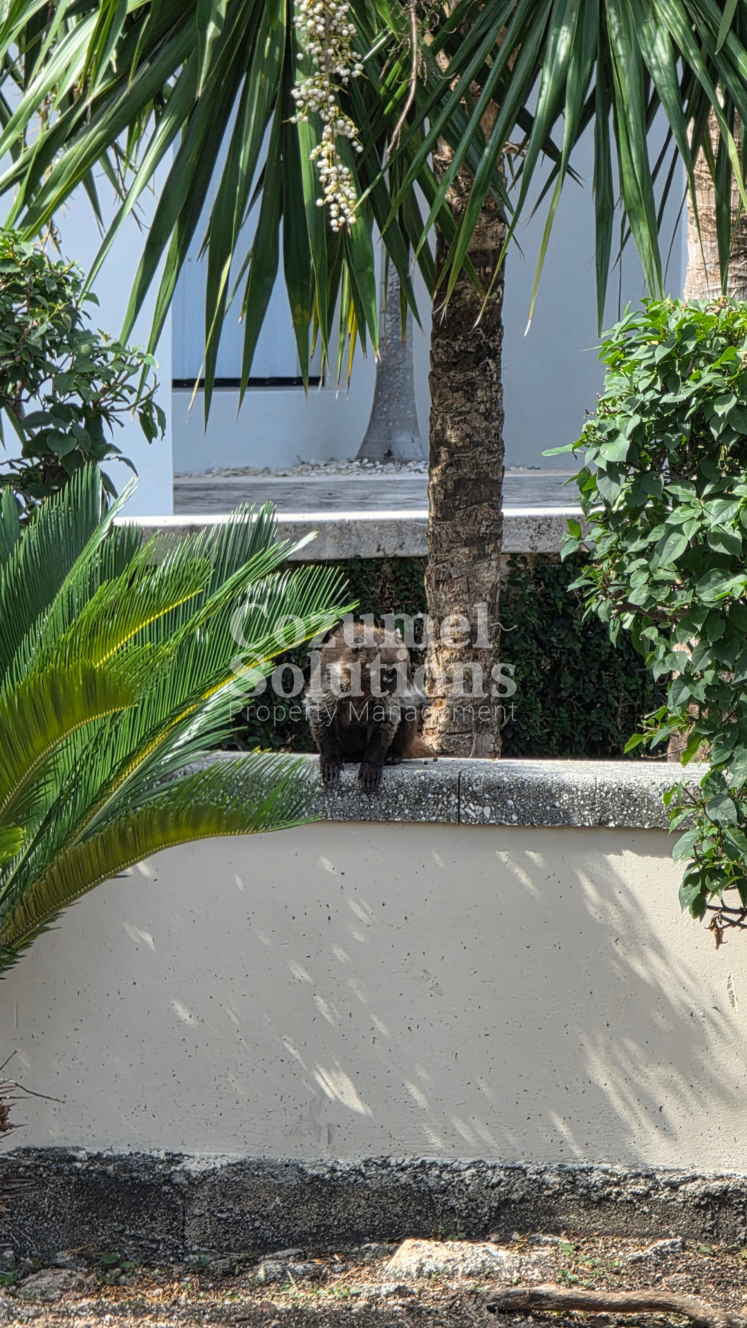 What Your Retirement Home in Cozumel Should Really Have — vista 5