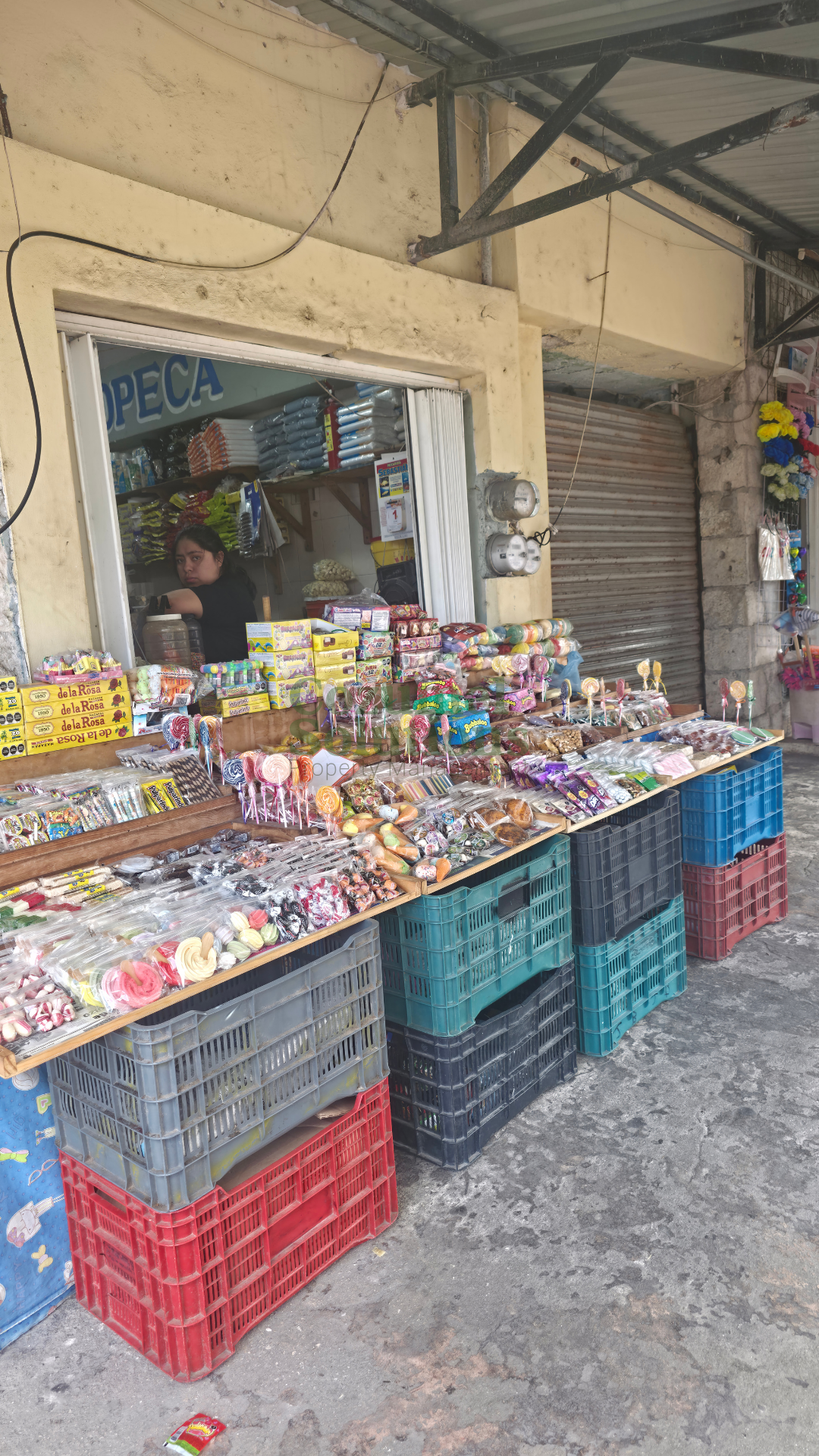 Why is Cozumel Expensive? — vista 8