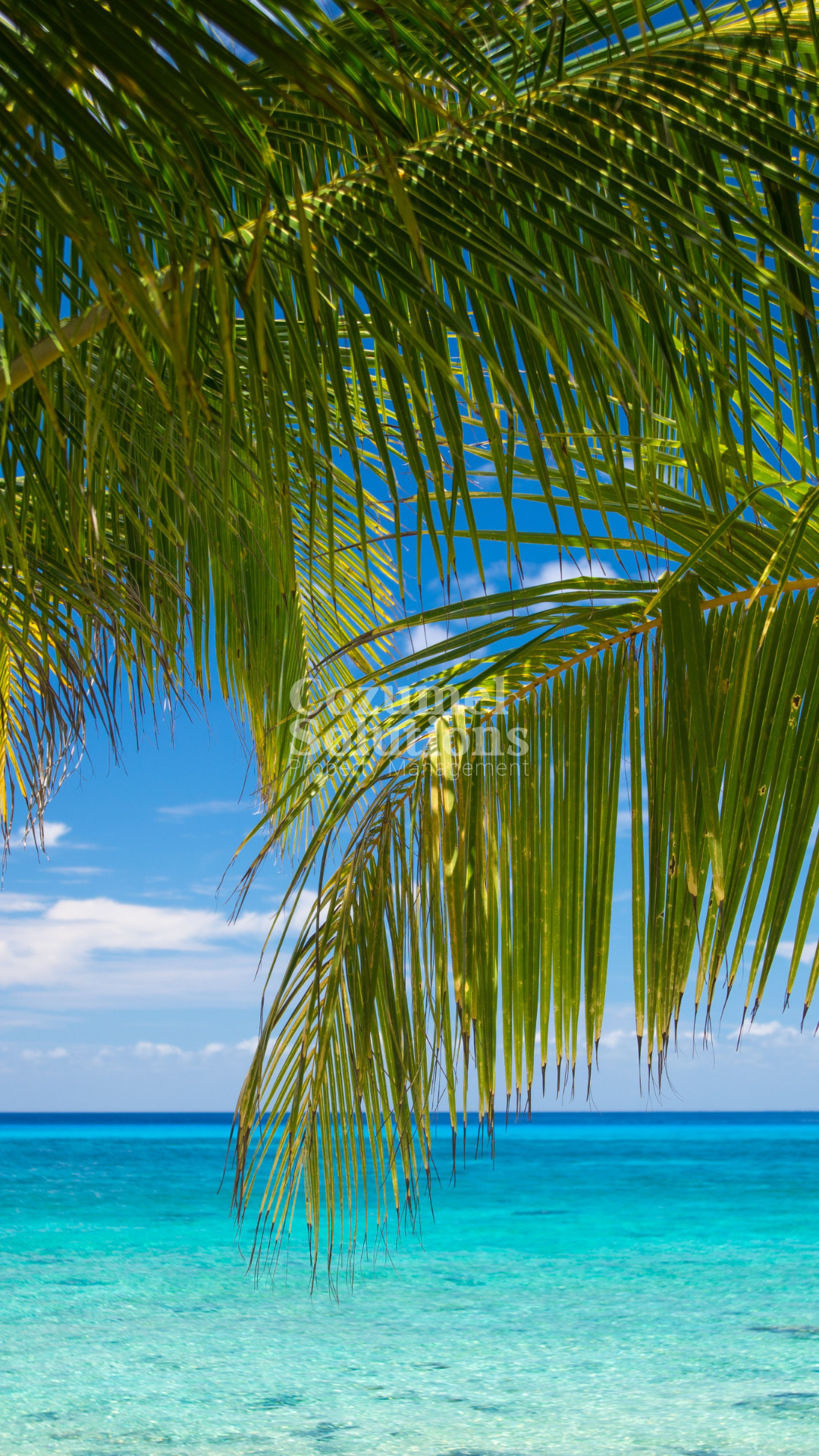 Retiring in Cozumel: Buy or Rent? — vista 4