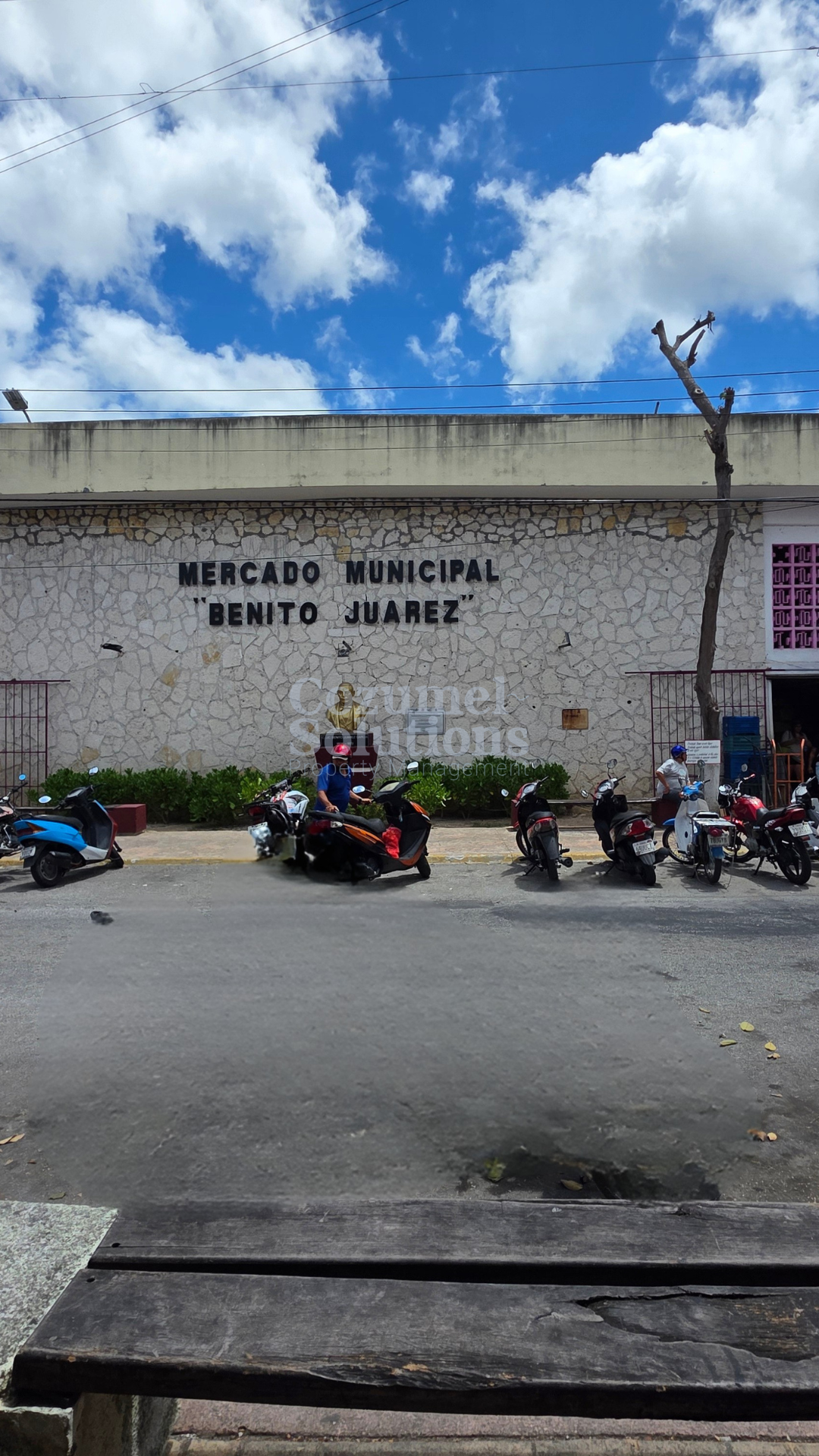 Why is Cozumel Expensive? — vista 6