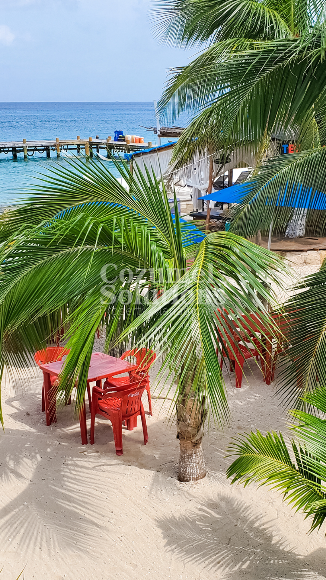 Cozumel Más Allá de la Playa — vista 5