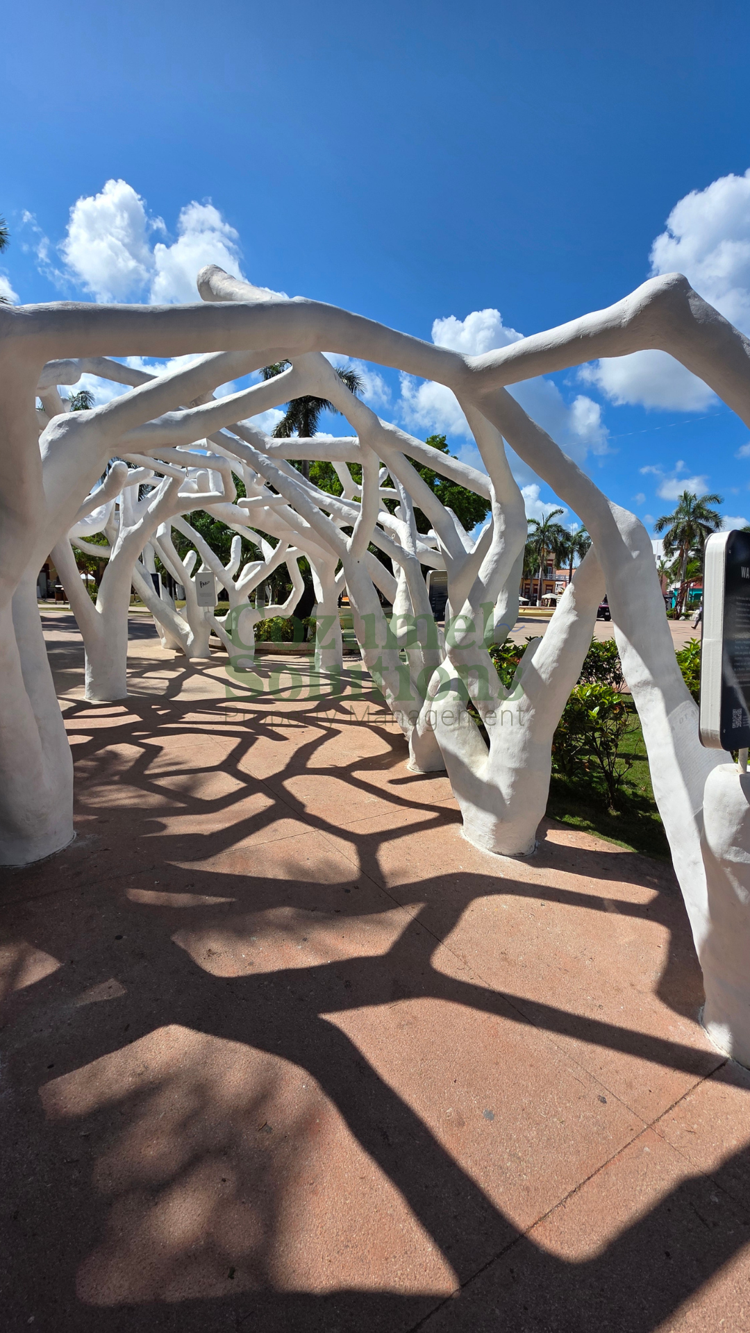 What Is It Like to Live in Cozumel — vista 9