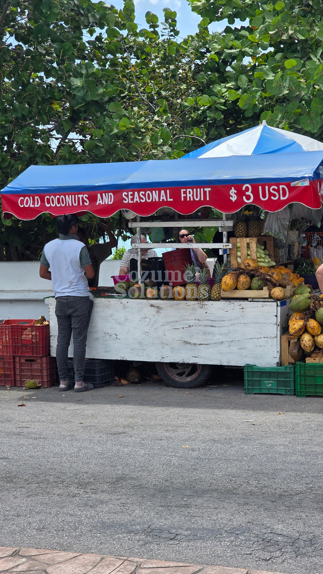 Why is Cozumel Expensive? — vista 7