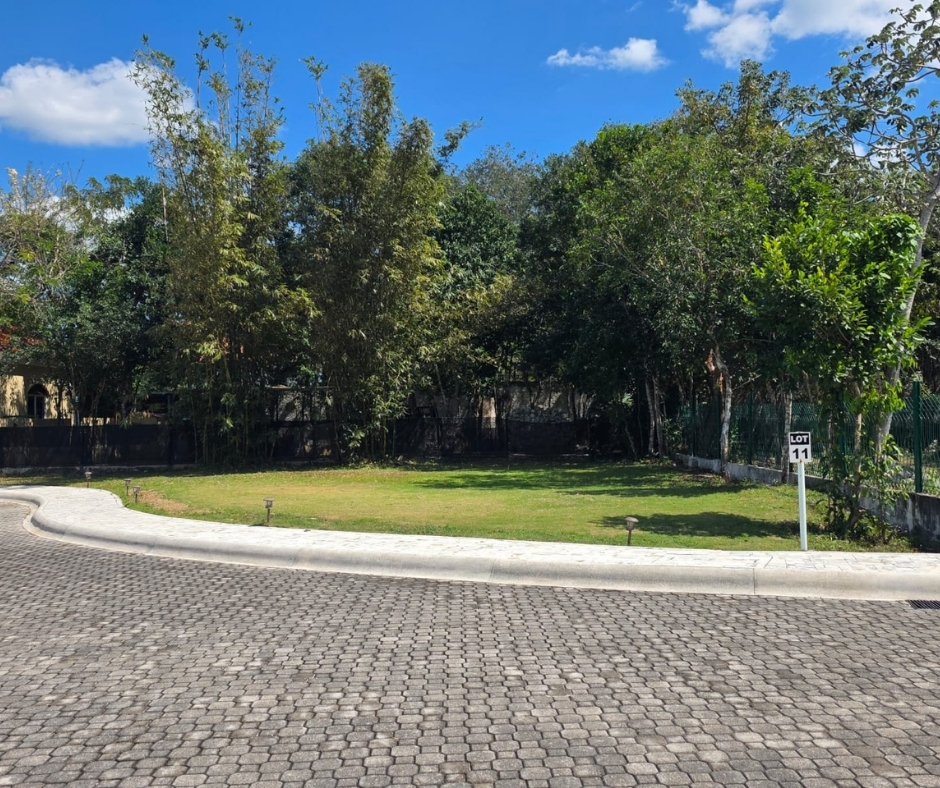 LOT 11 - 12 - 13 — vista 7